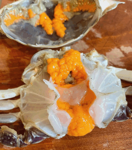 Superior Jumbo Swimming Crab: Bursting with Rich, Creamy Roe and Tomalley photo review