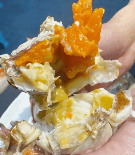 Superior Jumbo Swimming Crab: Bursting with Rich, Creamy Roe and Tomalley photo review