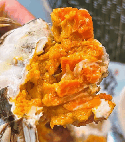 Superior Jumbo Swimming Crab: Bursting with Rich, Creamy Roe and Tomalley photo review