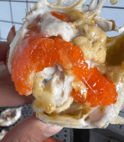 Superior Jumbo Swimming Crab: Bursting with Rich, Creamy Roe and Tomalley photo review